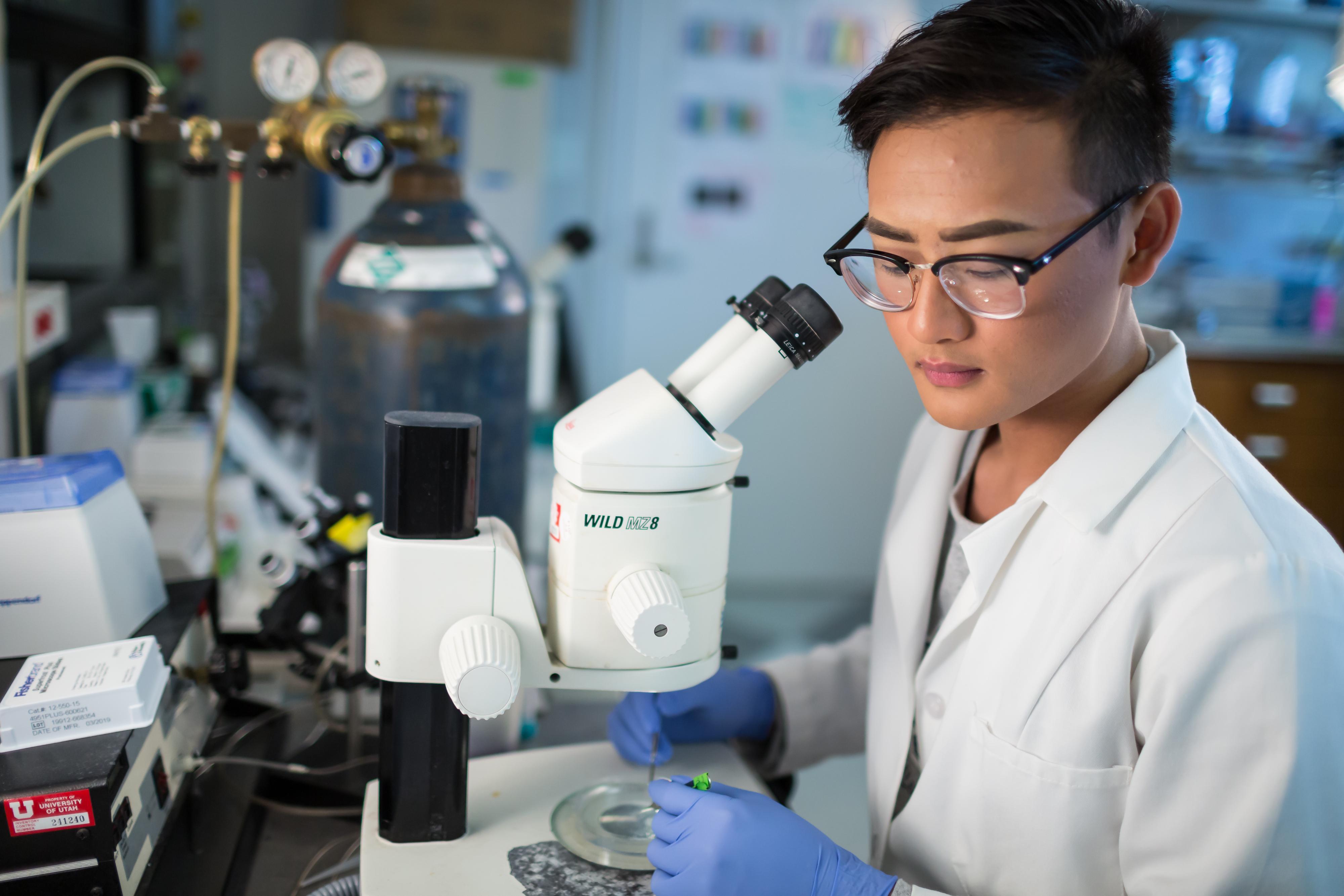 GSRM researcher with microscope